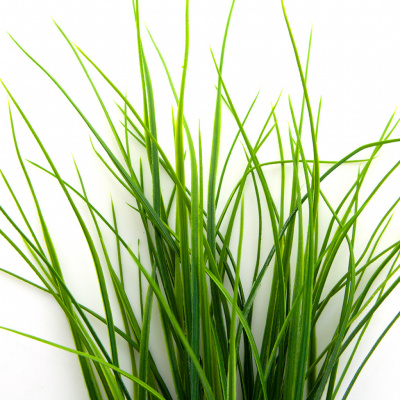 Трава искусственная -3, шт (осока 50 см/8 см  5 листов)				 - купить в Новочебоксарске. Цена: 124.17 руб.