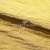 Текстильный материал "Диско"#1805 с покрытием РЕТ, 40гр/м2, 100% полиэстер, цв.5-золото - купить в Новочебоксарске. Цена 416.57 руб.