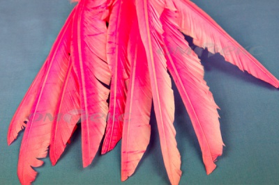 Декоративный Пучок из перьев, перо 25см/розовый - купить в Новочебоксарске. Цена: 14.54 руб.