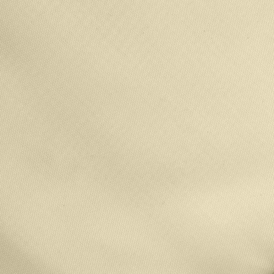 Ткань подкладочная Таффета 14-1014, антист., 53 гр/м2, шир.150см, цвет бежевый - купить в Новочебоксарске. Цена 62.37 руб.