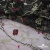 Сетка с вышивкой "Мадрид" 135 г/м2, 100% нейлон, ширина 130 см, Цвет 4/Черный - купить в Новочебоксарске. Цена 990 руб.