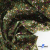 Ткань костюмная «Микровельвет велюровый принт», 220 г/м2, 97% полиэстр, 3% спандекс, ш. 150См Цв  #9 - купить в Новочебоксарске. Цена 439.76 руб.