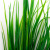 Трава искусственная -2, шт (осока 41см/8 см)				 - купить в Новочебоксарске. Цена: 104.57 руб.
