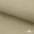 Ткань подкладочная TWILL 230T 14-1108, беж светлый 100% полиэстер,66 г/м2, шир.150 cм - купить в Новочебоксарске. Цена 90.59 руб.