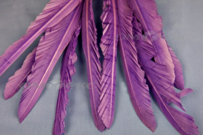 Декоративный Пучок из перьев, перо 25см/фиолетовый - купить в Новочебоксарске. Цена: 12.19 руб.