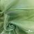 Ткань органза, 100% полиэстр, 28г/м2, шир. 150 см, цв. #27 зеленый - купить в Новочебоксарске. Цена 86.24 руб.