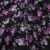 Плательная ткань "Фламенко" 20.1, 80 гр/м2, шир.150 см, принт растительный - купить в Новочебоксарске. Цена 241.49 руб.