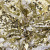 Трикотажное полотно, Сетка с пайетками, шир.130 см, #315, цв.-белый/золото - купить в Новочебоксарске. Цена 693.39 руб.