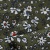 Плательная ткань "Фламенко" 11.2, 80 гр/м2, шир.150 см, принт растительный - купить в Новочебоксарске. Цена 259.21 руб.