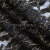 Кружевное полотно XD LACE 1-4, 80 гр/м2, шир.150см, цвет чёрный - купить в Новочебоксарске. Цена 245.94 руб.
